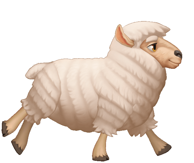 sheep
